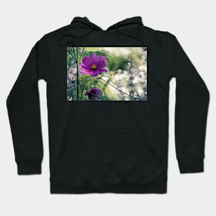 Cosmos and Bokeh Hoodie